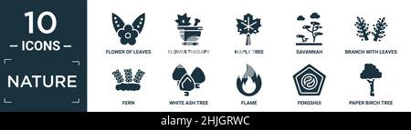 Gefülltes Natur-Icon-Set. Enthalten flache Blume der Blätter, Blumentherapie, Ahornbaum, Savanne, Zweig mit Blättern, Farn, weiße Esche, Flamme, Fengshui Stock Vektor