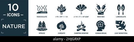 Gefülltes Natur-Icon-Set. Enthalten flaches Faszikulat, Zweig mit fünf Blättern, Aprikosenblatt, Schilfbett, Lanceolat, Fichte, Cordate, Lagerfeuer, h Stock Vektor