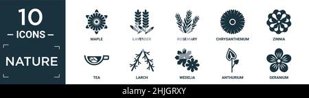 Gefülltes Natur Icon Set. Enthalten flachen Ahorn, Lavendel, Rosmarin, Chrysantheme, Zinnien, Symbole für Tee, Lärche, Wedelia, Anthurium, Geranie in bearbeitbarer Form Stock Vektor