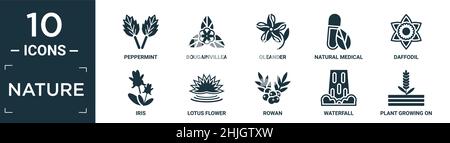 Gefülltes Natur Icon Set. Enthalten flache Pfefferminze, Bougainvillea, Oleander, natürliche medizinische Pillen, Narzissen, iris, Lotusblume, Eberesche, Wasserfall, Pflanze Stock Vektor