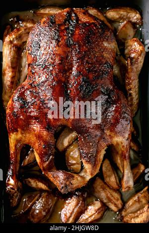 Klassisches Urlaubsgericht geröstete glasierte Ente mit Äpfeln im Backblech. Draufsicht, Nahaufnahme Stockfoto
