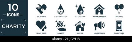 Gefülltes Charity Icon Set. Enthalten flache Solidarität, Blutspende, sauberes Wasser, Tierheim, Ballone, Herztropfen, spenden, Schutz, Lautsprecher, Zeichen Stock Vektor