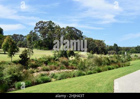 Ein Blick auf das Gelände der Macquarie University in Sydney, Australien Stockfoto