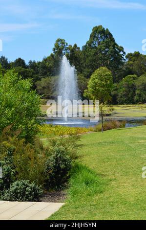 Ein Blick auf das Gelände der Macquarie University in Sydney, Australien Stockfoto