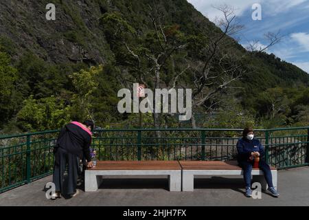 Petrohue, Los Lagos, Chile. 29th Januar 2022. Eine Frau mit Gesichtsmaske ruht mitten in den Sommerferien auf einer Bank in der Nähe des Flusses Petrohue im Süden Chiles. (Bild: © Matias Basualdo/ZUMA Press Wire) Stockfoto