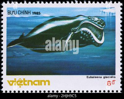 Briefmarke aus Vietnam in der Whales-Serie, die 1985 herausgegeben wurde Stockfoto