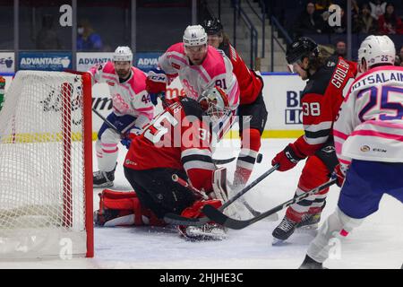 29. Januar 2022: Utica Comets-Torhüter Nico DAWs (35) rettet in der zweiten Periode gegen die Rochester-Amerikaner. Die Rochester Americans veranstalteten die Utica Comets auf Pink in der Rink Night in einem Spiel der American Hockey League in der Blue Cross Arena in Rochester, New York. (Jonathan Tenca/CSM) Stockfoto