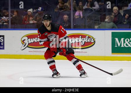 29. Januar 2022: Utica Comets linker Flügel A.J. Greer (17) läuft in der ersten Periode gegen die Rochester-Amerikaner durch die Offensivzone. Die Rochester Americans veranstalteten die Utica Comets auf Pink in der Rink Night in einem Spiel der American Hockey League in der Blue Cross Arena in Rochester, New York. (Jonathan Tenca/CSM) Stockfoto