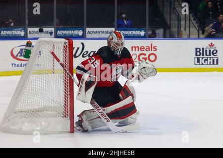 29. Januar 2022: Utica Comets-Torhüter Nico DAWs (35) rettet in der zweiten Periode gegen die Rochester-Amerikaner. Die Rochester Americans veranstalteten die Utica Comets auf Pink in der Rink Night in einem Spiel der American Hockey League in der Blue Cross Arena in Rochester, New York. (Jonathan Tenca/CSM) Stockfoto