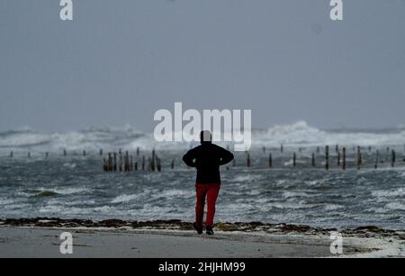 Sankt Peter Ording, Deutschland. 30th Januar 2022. Ein Mann schaut auf die hohen Wellen, die der Wind am Strand auftürmt. Quelle: Axel Heimken/dpa/Alamy Live News Stockfoto