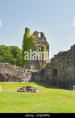 Neath Abbey Ruins (12. Jahrhundert), Neath Port Talbot, South Wales, Großbritannien Stockfoto