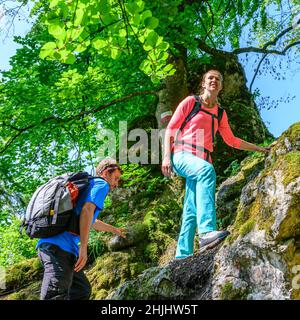 Abenteuer Wanderung in einem schattigen Wald im Naturpark Altmühltal Stockfoto