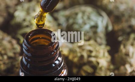 CBD-Öl tropft aus einer Pipette in einer braunen, bernsteinfarbenen Glasflasche, umgeben von getrockneten Marihuanaknospen, oben aus der Nähe. Stockfoto
