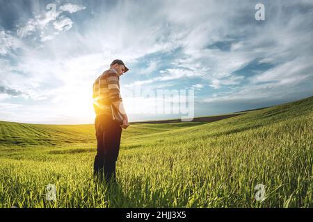 Ein junger Agronom hält eine Mappe in den Händen auf einem grünen Weizenfeld. Ein Landwirt notiert sich bei Sonnenuntergang über den Hintergrund landwirtschaftlicher Flächen. Mann Stockfoto