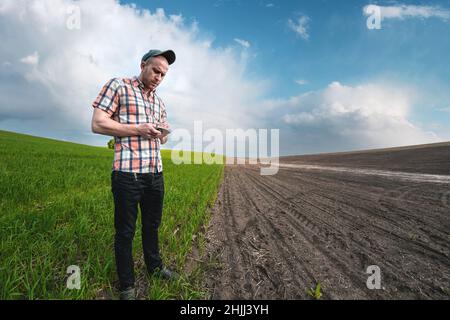 Ein männlicher Agronom untersucht Weizenkulturen in einem landwirtschaftlichen Feld. Ein Landwirt in einem Weizenfeld macht Notizen in einem Notizbuch. Beurteilung der Getreideerträge Stockfoto