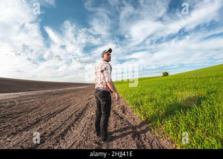 Ein männlicher Agronom untersucht Weizenkulturen in einem landwirtschaftlichen Feld. Ein Landwirt in einem Weizenfeld macht Notizen in einem Notizbuch. Beurteilung der Getreideerträge Stockfoto