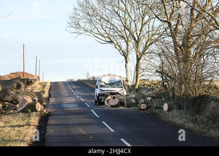 Barnard Castle, Teesdale, County Durham, Großbritannien. 30th. Januar 2022. Wetter in Großbritannien. Nach dem Sturm Malik machen sich die Menschen auf mehr Schaden ein, als sich Storm Corrie dem Vereinigten Königreich nähert. Ein Fahrer hatte während des Sturms Malik Glück, nachdem ein Baum in der Nähe von Barnard Castle auf eine Straße fiel. Kredit: David Forster/Alamy Live Nachrichten Stockfoto