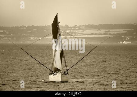 Kulturelle Veranstaltung mit hölzernen alten Fischerbooten in Douarnenez, Bretagne. Stockfoto