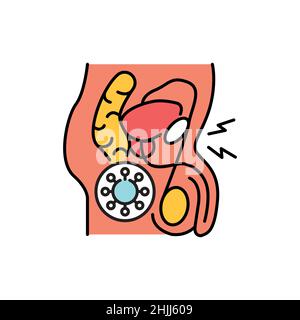 Männliche Urogenitalsystem Viruserkrankungen Farbe Linie Symbol. Piktogramm für Webseite, mobile App, Promo. Stock Vektor