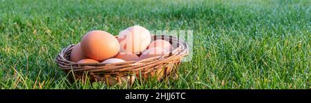 Hühner Eier im Korb auf dem Gras. Stockfoto