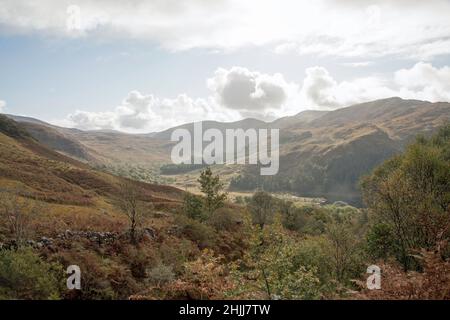 Glen Trool in der Nähe von Newton Stewart Dumfries und Galloway Scotland Stockfoto