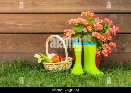 Frühlingsbanner, Kopierpaste, blühende Blumen, Gummistiefel auf Holzhintergrund Stockfoto