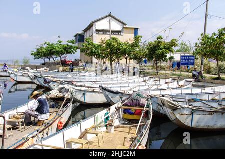 Asien, China, Dali, Erhai-See, Kormoranfischen Stockfoto