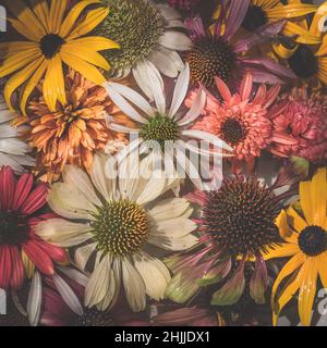 Gelbe, rosa, weiße, grüne und violette Echinacea- und Rudbeckia-Blüten auf der Wasseroberfläche Stockfoto