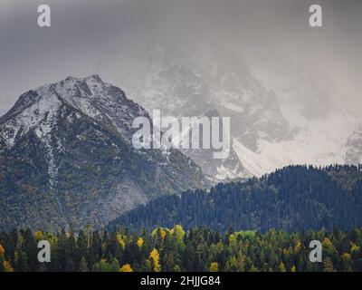 Erstaunlicher Herbsttag im Hochland. Bäume am Rande des Hügels in Herbstfarben. Reise nach dem Nordkaukasus, Archyz, Russland, der Weg zu den Dukkinski Seen. Stockfoto