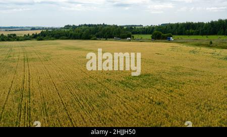 Landstraßen durch Felder auf dem Land Stockfoto