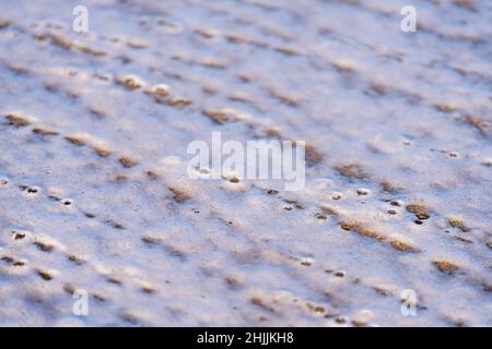 Blasen, die nach einer Welle am Ufer aufsteigen Stockfoto