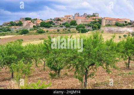 Erntefelder in der Nähe des Dorfes Castelo Rodrigo, Serra da Estrela, Beira Alta, Portugal Stockfoto