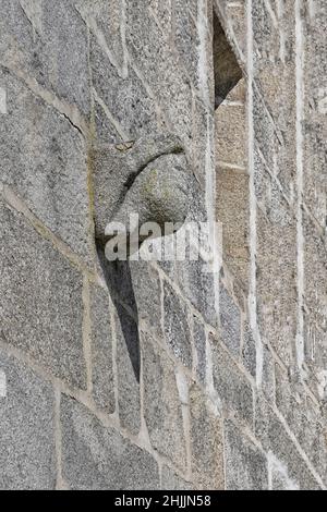 Schnitzereien an der façade des Hauses der Schwarzen Katze oder des Löwen von Juda, Trancoso, Serra da Estrela, Portugal Stockfoto