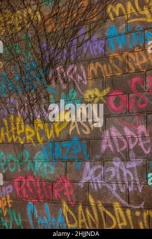 Graffitti auf einer verlassenen Mauer in Cardiff, Wales, Großbritannien Stockfoto