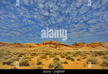 Wunderschöne Landschaft mit blick auf den blauen Himmel und die roten Sandsteinhügel im Valley of Fire State Park in der Mohave-Wüste von Nevada Stockfoto