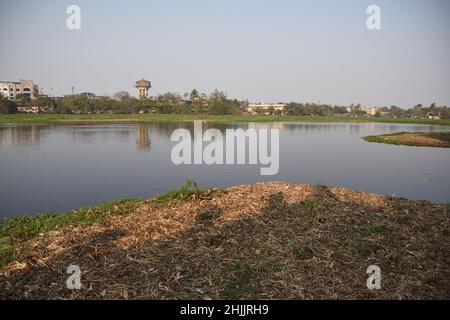 Howrah, Westbengalen, Indien. 30th Januar 2022. Meist Wasser Hyazinthe bedeckt Santragachi Jaheel oder See zieht eine große Anzahl von Zugvögeln im Winter von November bis März. Die kleine Pfeifente ist die dominanteste Art, die hier mit anderen Sorten zu sehen ist. (Bild: © Biswarup Ganguly/Pacific Press via ZUMA Press Wire) Stockfoto