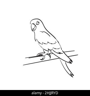 Lächelnder Papagei auf Baum Illustration Vektor Hand gezeichnet isoliert auf weißem Hintergrund Linie Kunst Stock Vektor