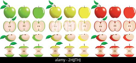 Vektorgrafik. In Scheiben schneiden und Äpfel beißen. Gradient und einfarbige Äpfel. Stock Vektor