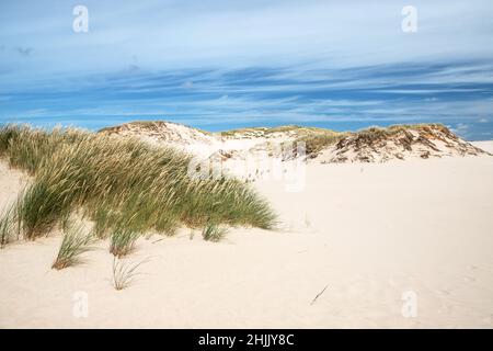 Wanderdünen im Slowinski Nationalpark, Leba, Polen Stockfoto