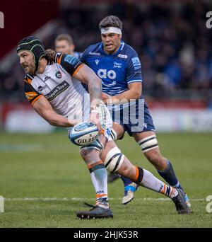 Sale, Großbritannien. 30th. Januar 2022; AJ Bell Stadium, Eccles, Greater Manchester, England: Gallagher Premiership Rugby, Sale gegen Leicester; Harry Wells von Leicester Tigers übergibt den Ball Kredit: Action Plus Sports Images/Alamy Live News Stockfoto