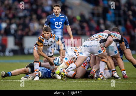 Sale, Großbritannien. 30th. Januar 2022; AJ Bell Stadium, Eccles, Greater Manchester, England: Gallagher Premiership Rugby, Sale gegen Leicester; Richard Wigglesworth von Leicester Tigers macht den Ball frei Credit: Action Plus Sports Images/Alamy Live News Stockfoto