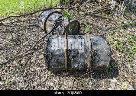 Zwei rostige Metallfässer in einem Wald Stockfoto