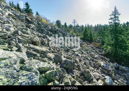 Die Felsenrutsche in den Bergen an sonnigen Tagen, mit Flechten bedeckte Felsbrocken - natürliche Textur des Gebirges Stockfoto