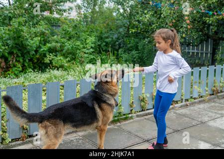 Das Kind gibt dem Hund eine Hand. Selektiver Fokus.Tier Stockfoto