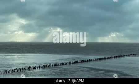 Reise nach Dänemark: Eine Leiste ragt in einer langen Reihe von Holzpfosten mit niedrigen Wolken und Sonnenstrahlen am Horizont ins Wattenmeer Stockfoto