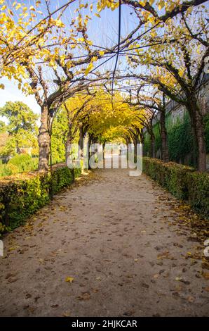 Herbstsaison in der UNESCO-Ikone in Deutschland Stockfoto