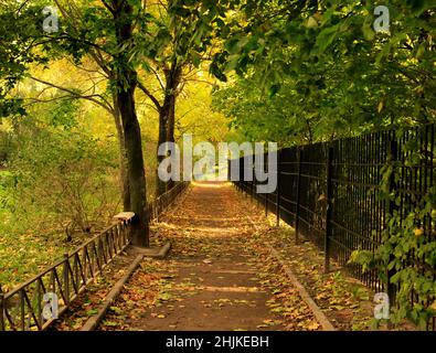 Stadtpark im Herbst sonnigen Tag. Pfad mit abgefallenen Blättern übersät. Geringe Schärfentiefe. Selektive Fokusfotografie. Stockfoto