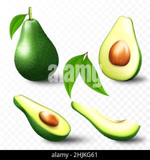 Satz von frischen ganzen, halb, schneiden Scheibe und Blätter Avocado isoliert auf weißem Hintergrund. Sommerfrüchte für einen gesunden Lebensstil. Bio-Obst. Realistischer Stall Stock Vektor