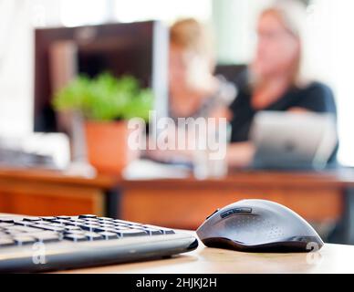 Zwei Frauen arbeiten zusammen am Computer in einem Büro Stockfoto