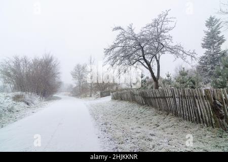 Der erste Schnee in Roztocze. Schneebedeckte Landstraße. Stockfoto